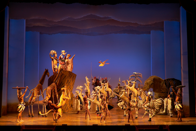 “Circle of Life”